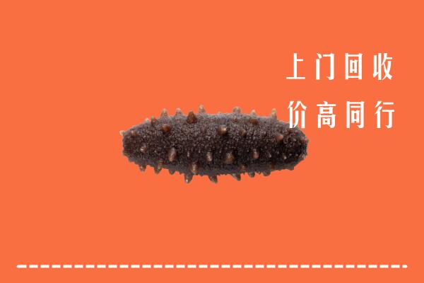 附近收购：犍为县回收海参